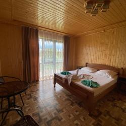 Фото Парк-отель Галина