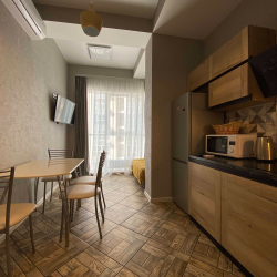 1-комнатные апартаменты стандарт г. Сочи, ул. Крымская 89, кв. 156.