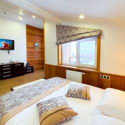 Комната люкс с 1 двуспальной кроватью (мансарда)