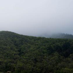 4-местная комната улучшенная с балконом