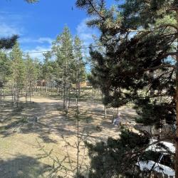 Номер эконом с 3 односпальными кроватями