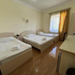 Фото Отель Aragats Hotel (Арагац)