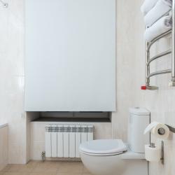 Фото Отель Loyal Guest House (Лоял)