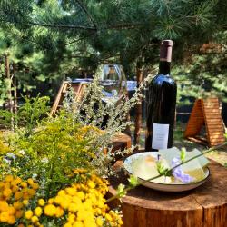 Фото Отель Кусочек рая в соснах