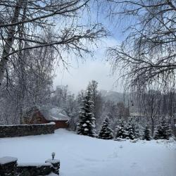 Фото Отель Woodland (Вудлэнд)