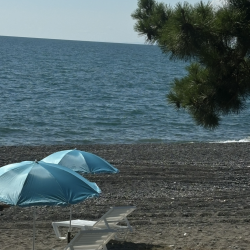 Фото Отель Rodnik Village & Spa (Родник Вилладж Спа)