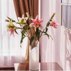 Фото Отель Евразия