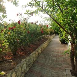 Фото Отель Город-Ок!