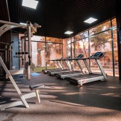 Фото Отель Wellness Hotel and Spa (Велнесс)