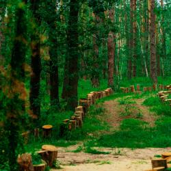 Фото Отель Лесная база «Папоротник»