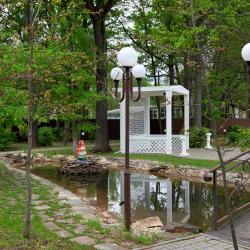 Фото Отель Лукоморье