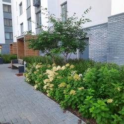 Фото Апартаменты Home inn (Хоум инн) на улице Николая Ростовцева 24