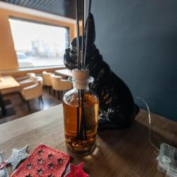 Фото Отель Магнум