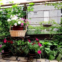 Фото Отель Гостевой дом НАТАЛИсити