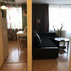 Фото Апартаменты на улице Мамина-Сибиряка 59