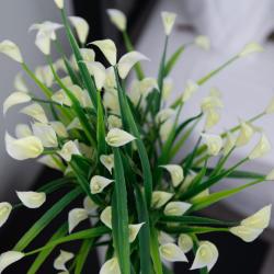 Фото Апартаменты на улице Эрвье 38