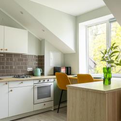 1-комнатные апартаменты стандарт (мансарда)