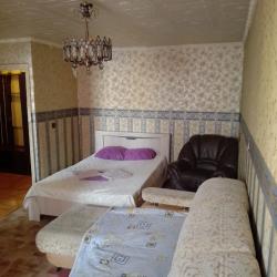 1-комнатные апартаменты эконом Ленинский пр-т, 24