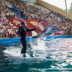 Фото Отель Дельфин (Дельфинарий Морская Звезда)