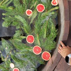 Фото Отель Вуд Плейс