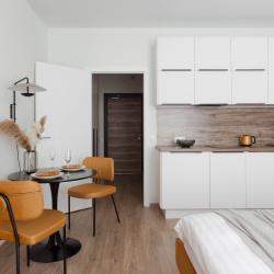 Апартаменты студия RoomyRoom Premier