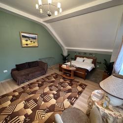 Комната стандарт с 1 двуспальной кроватью (с завтраком, мансарда)