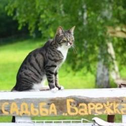 Фото Отель Сельская Усадьба ка