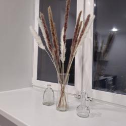 1-комнатные апартаменты стандарт с 2 диванами #3