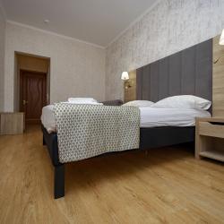 2-местный номер комфорт (вид на парк)