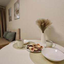 1-комнатные апартаменты студия