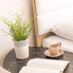 1-комнатные апартаменты улучшенные