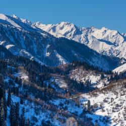 Фото Отель Ой-Карагай Лесная Сказка (Oi-Qaragai)