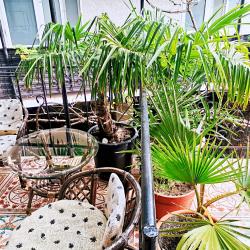 Фото Отель Карадениз