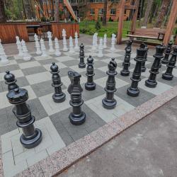 Фото Отель Лесная Опушка