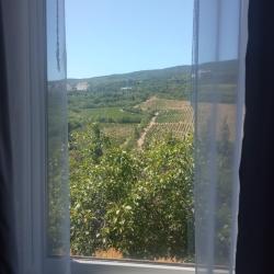 2-комнатные апартаменты студия 2.1