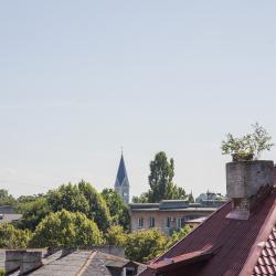 2-комнатные апартаменты стандарт (мансарда)