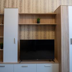 Фото Апартаменты на улице Пузакова 25