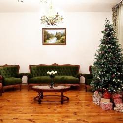 Фото Отель Гостевой дом Sweet Vibe Home (Свит Вайб Хоум)