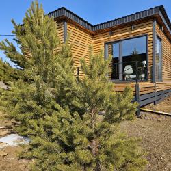 Фото Отель Брусника