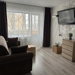 Фото Апартаменты на улице Скоморошинская