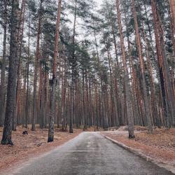 Фото Отель The Lagom (Лагом)
