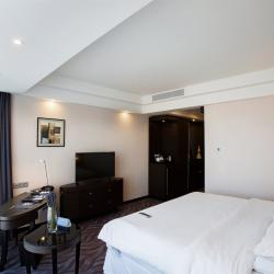 SHERATONPLAZA Ufa Congress Hotel (Шератон Плаза Уфа Конгресс) (бывш. Краун Плаза Уфа Конгресс) — 239d12fc57c394a78111b04076e7ed72