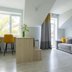 1-комнатные апартаменты стандарт (мансарда)