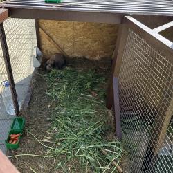 Коттедж улучшенный