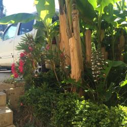 Фото Отель Гости