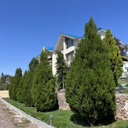 Фото Отель Mountain View Hot Spring Resort (Маунтин Вью Хот Спринг Резорт)