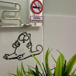 Апартаменты студия №1