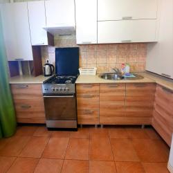 1-комнатные апартаменты стандарт г.Чебаркуль, ул. Карпенко, д. 4в, кв. 64 (мансарда)
