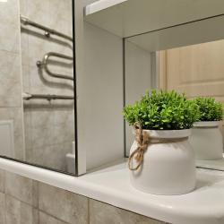 1-комнатные апартаменты улучшенные