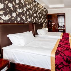 Номер люкс с 2 односпальными кроватями